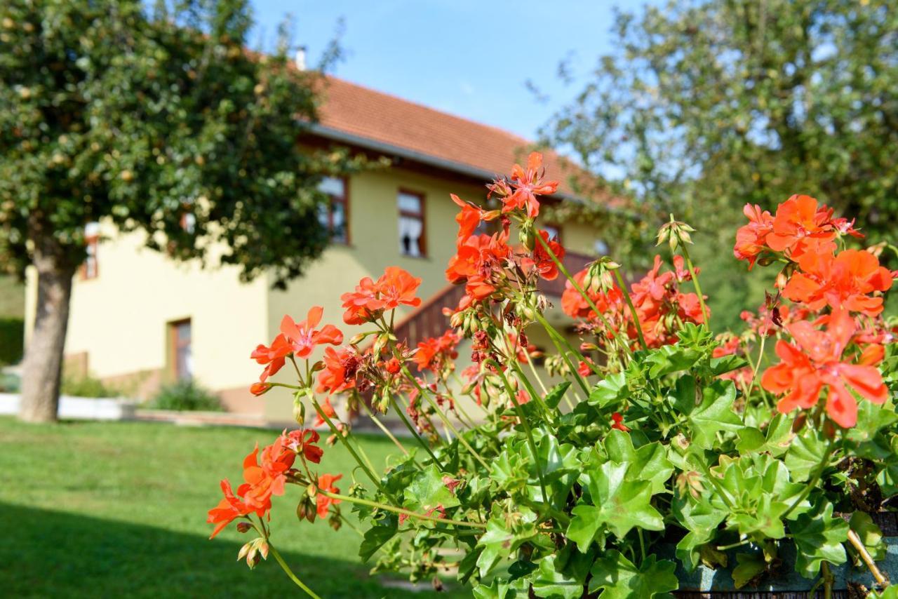 Ruralna Kuca 'Villa Zagorka' Za Odmor Sa Bazenom I Bocalistem Donja Pacetina Extérieur photo