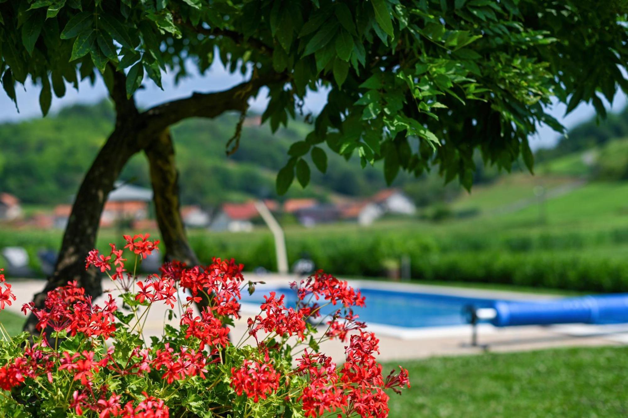 Ruralna Kuca 'Villa Zagorka' Za Odmor Sa Bazenom I Bocalistem Donja Pacetina Extérieur photo